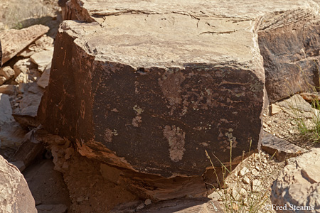 Petrified Forest National Park Puerco Pueblo Petroglyph